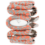 OROLOGIO DONNA ROBERTO CAVALLI CLEOPATRA BRAC. S/S CORAL ENAM.